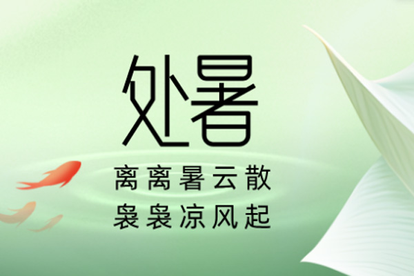 thumb_2024082308554934